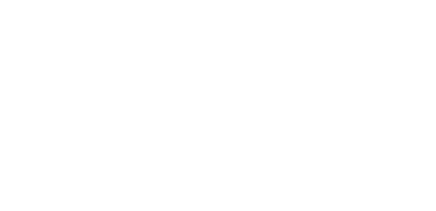 Logo-Viro